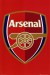 SP0074~Arsenal-Football-Club-Club-Badge-Posters.jpg